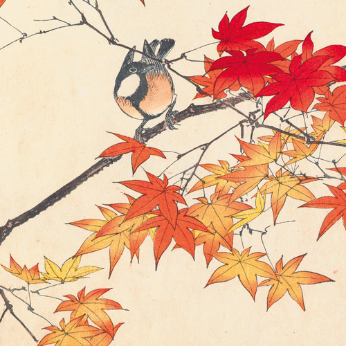 秋のポスター、今尾景年、紅葉、日本画、和モダンだけじゃない、応用が