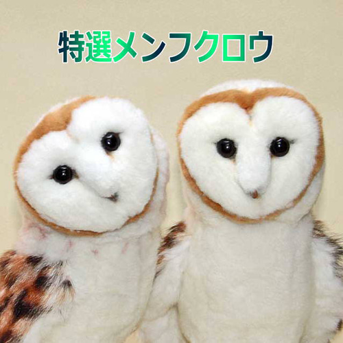 リアルファーのメンフクロウはファークラフトから生まれたぬいぐるみ