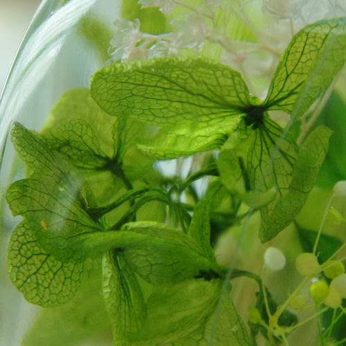 作りたて！再販4】うさぎのしあわせ キノコの森 緑溢れる森の