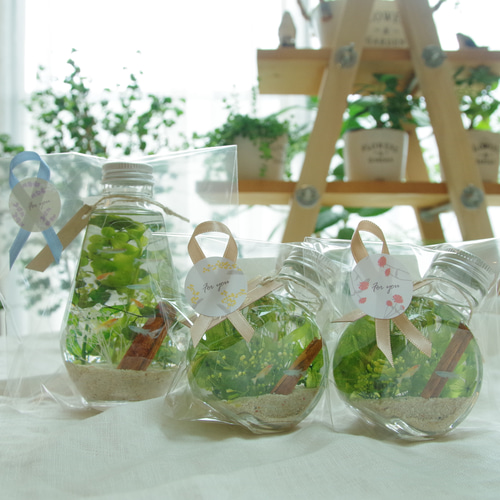 作りたて！再販4】うさぎのしあわせ キノコの森 緑溢れる森の