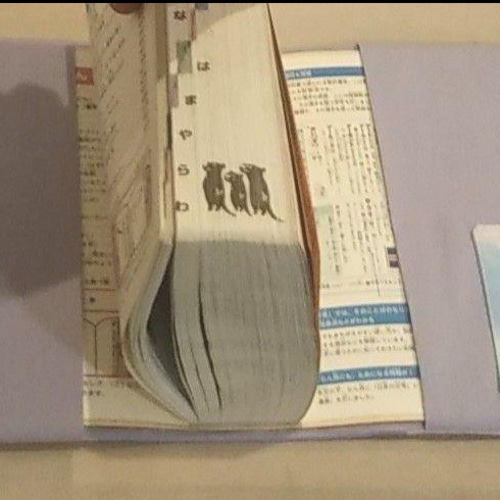 コメント用ページ】 辞書カバー 辞書バッグ 辞書 ブックカバー その他
