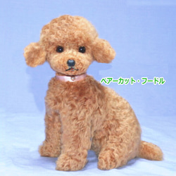 可愛すぎて心が溶けちゃいそう🥹 #teddybear🐻 #teddybear