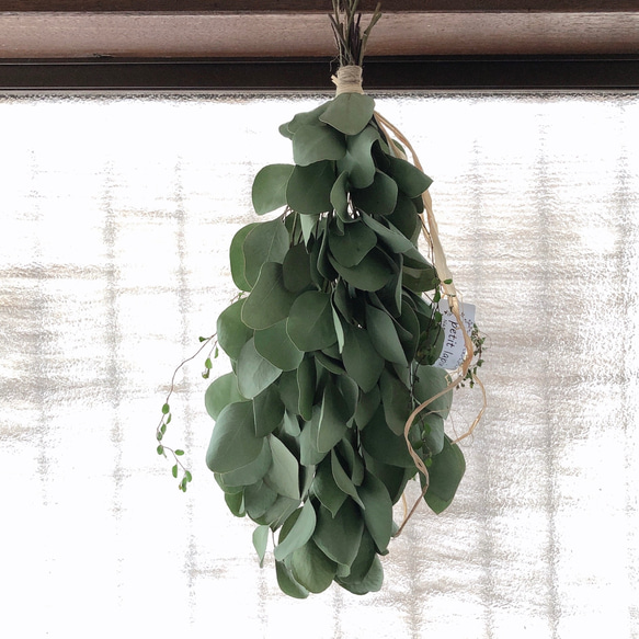 neko10.　パンパスと香り銀葉ユーカリのスワッグ51cm［376] neko10. パンパスと香り銀葉ユーカリのスワッグ51cm［376