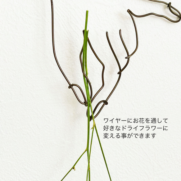 Wire Wall Art Hand 一輪挿し（ワレモコウ付）お花が付け替えれる 3枚目の画像