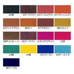 カードお札の入れられるiPhone14スマホケース【色組み合わせ無料】 8枚目の画像