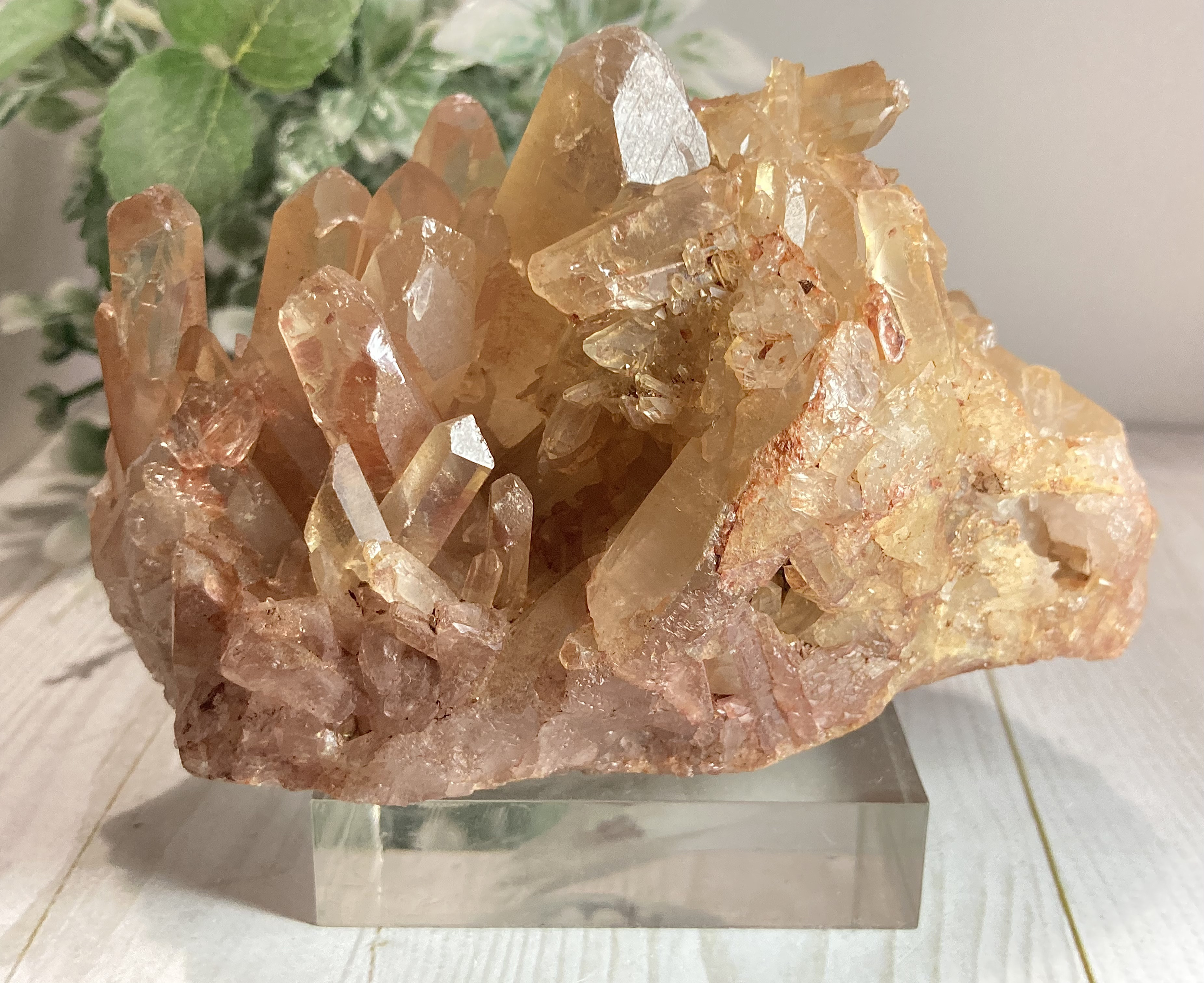 蜜柑の水晶 ✨タンジェリンクォーツ　ラフストーン　原石　クラスター　台座付き