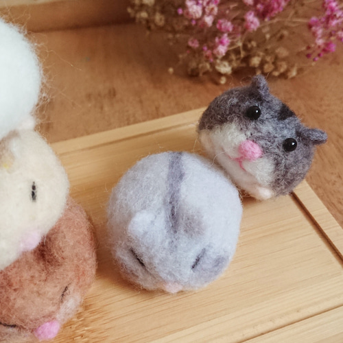 ハムスターの赤ちゃん いろいろな羊毛フェルト人形 癒しのプレゼント