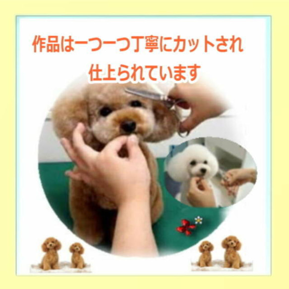 オーダーメイド　ギフトに トイプードル【再販・受注制作】リアルファーのぬいぐるみ ペットは家族・愛犬ギフト 16枚目の画像