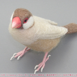 本トリ No.97 シナモン文鳥 ４号 / 羊毛フェルト リアルサイズ 5枚目の画像