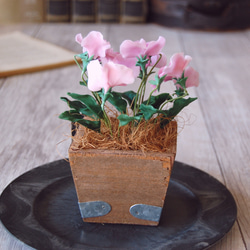【粘土のお花】ビオラ　ウッドプランター・・・B706 10枚目の画像