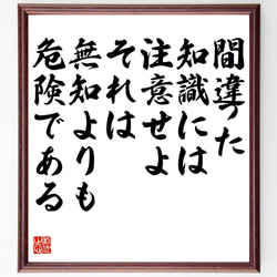 ジョージ・バーナード・ショーの名言「間違った知識には注意せよ、それは無知より～」額付き書道色紙／受注後直筆（Y7173） 1枚目の画像