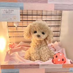 ぽぽみの展示中作品一覧 | ハンドメイド通販・販売のCreema