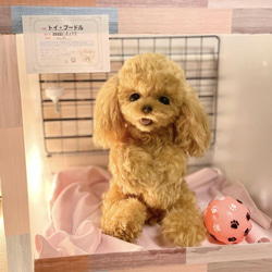 ぽぽみの販売中作品一覧 | ハンドメイド通販・販売のCreema