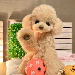 ぽぽみさん ぬいぐるみ トイプードル テディベア アートドール cb03db214ed941191335d5222b4634