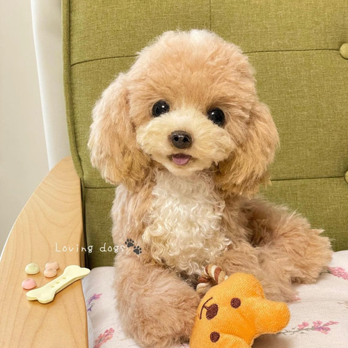 トイプードル ぬいぐるみハンドメイド ぬいぐるみ ぽぽみ 通販