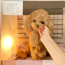 ぽぽみさん　ぬいぐるみ　トイプードル アートドール 作家 ハンドメイド 💕🍫🐶終了🐶🍫💕】 Birthday 🎂 2023.2.14 🐾 バレンタインに
