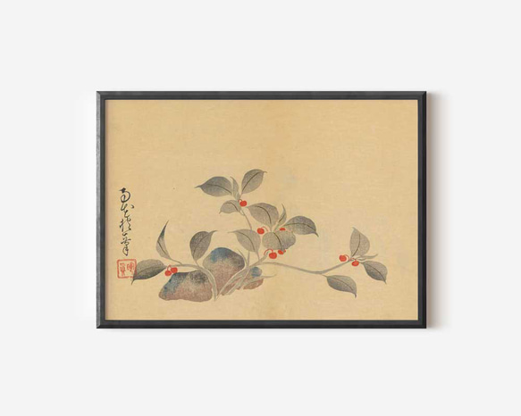 アートポスター ★木製高級額縁付★酒井抱一作★ 約1003×591mm 酒井抱一、植物画、和モダンだけじゃない、応用が利く和柄ポスター