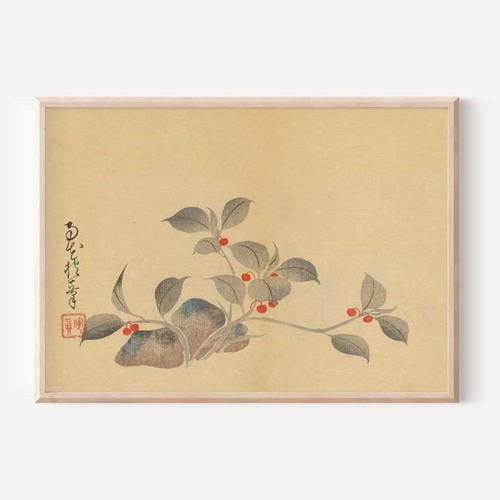 酒井抱一、植物画、和モダンだけじゃない、応用が利く和柄ポスター