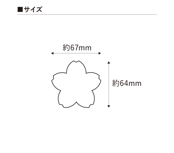  第2張的照片