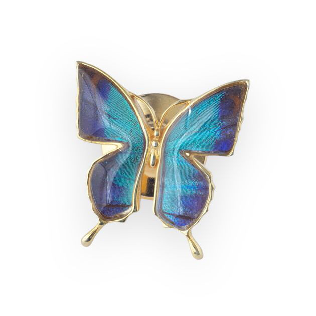 本物の蝶の羽　アゲハ蝶デザイン　ラペルピン　ドクソコパチェルビナ[zps018g-gr]