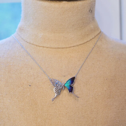 本物の蝶の羽　透かしデザインアゲハ蝶ネックレス　ドクソコパチェルビナ[zps027r-gr] 3枚目の画像