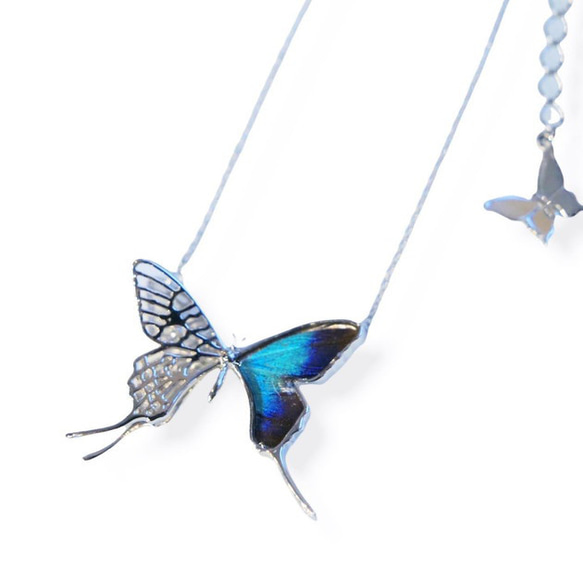 本物の蝶の羽　透かしデザインアゲハ蝶ネックレス　ドクソコパチェルビナ[zps027r-gr] 4枚目の画像