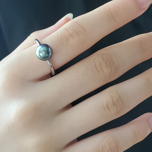 黒蝶貝プラチナリング 黒蝶貝・白蝶貝リング MP-2 | il mignolo