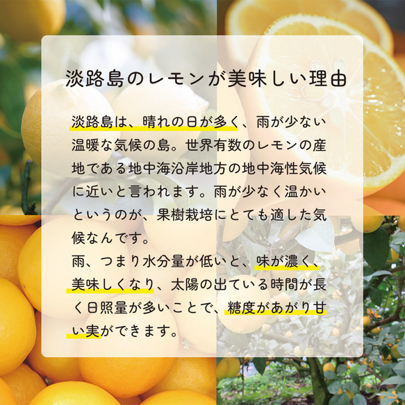 【飲み比べシロップ 2本セット】クラフトコーラ（shima cola）&クラフトレモン 7枚目の画像