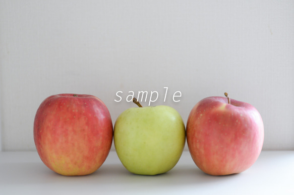りんごの季節 1枚目の画像