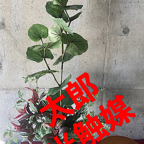 光触媒人工観葉植物ウォールグリーンフェイクハンドメイド　シーグレープトラカンr 光触媒人工観葉植物ウォールグリーンフェイクフラワー