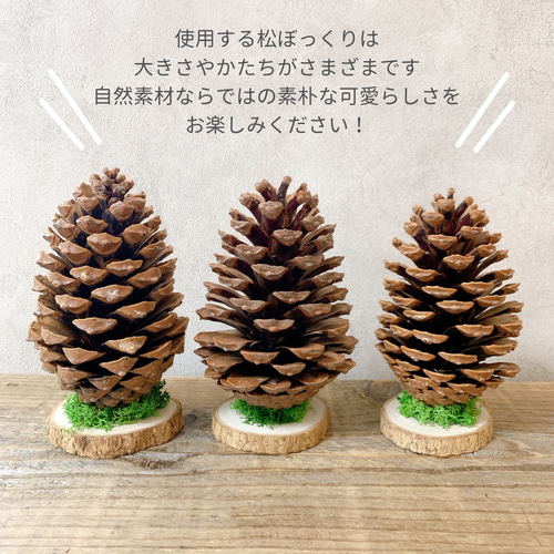 大きな松ぼっくりのクリスマスツリー プリザーブドフラワー モリネコ