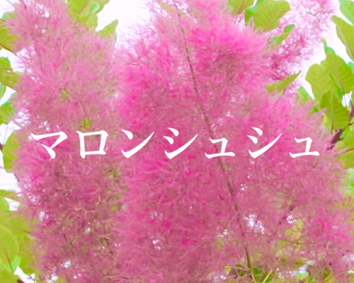 869cb37694bd0421d7cbc30ce5abe9