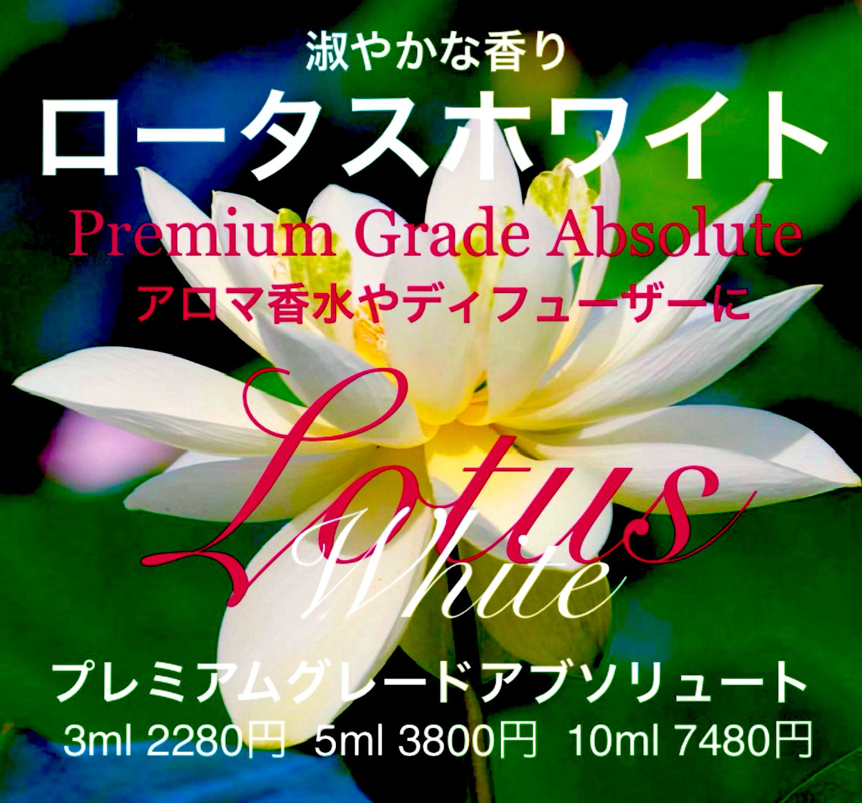 プレミアムグレードアブソリュートロータスホワイト10ml