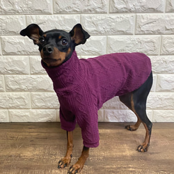 ミニチュアピンシャー/ミニピン フワフワ天竺タンクトップ ペット服