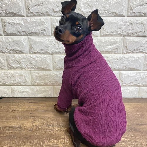 ミニチュアピンシャー/ミニピン アランニットセーター ペット服