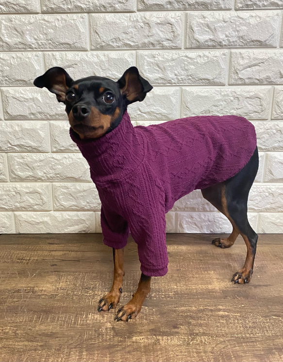 ミニチュアピンシャー/ミニピン アランニットセーター ペット服