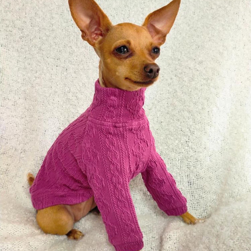 ミニチュア・ピンシャーの服 | 犬服通販ドッグピース