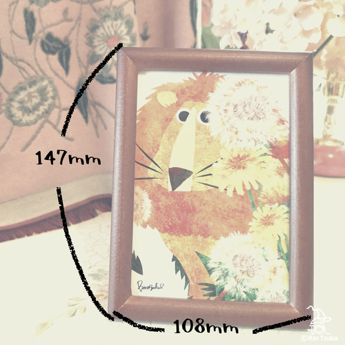 Animals & Flowers 