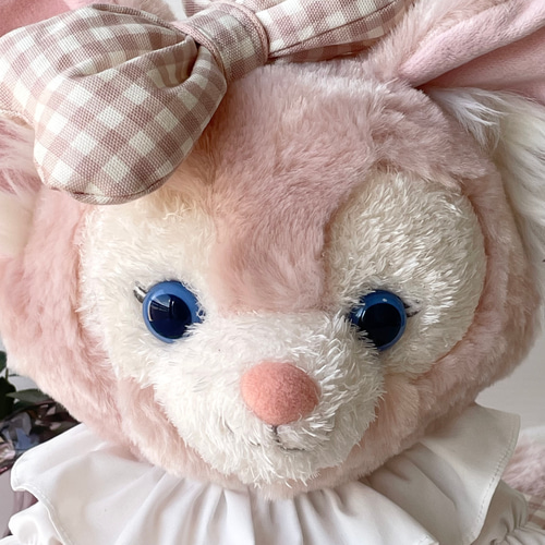 リーナ・ベルコスチューム（いちごミルクチェック） その他人形