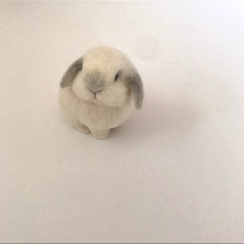 確認用　羊毛フェルト　うさぎ　おしり　うさけつ 確認用羊毛フェルトうさぎおしりうさけつ