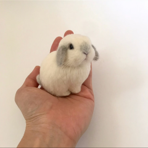 うさぎ 羊毛フェルト ロップイヤー ホーランドロップ ミニうさぎ