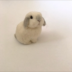 lapiniere ラピニエール　羊毛　うさぎ　手作り　ハンドメイド　フロスティ 698075f09e9b1575be1d5b8dbf217e