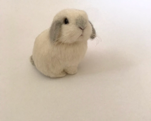 うさぎ 羊毛フェルト ロップイヤー ホーランドロップ ミニうさぎ