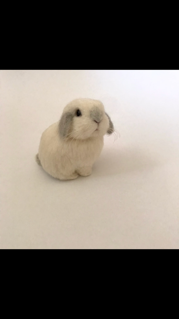 うさぎ 羊毛フェルト ロップイヤー ホーランドロップ ミニうさぎ