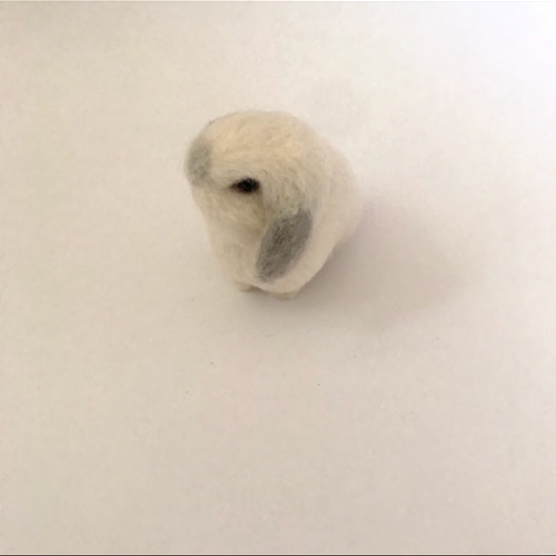 うさぎ 羊毛フェルト ロップイヤー ホーランドロップ ミニうさぎ