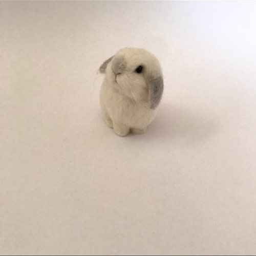 うさぎ 羊毛フェルト ロップイヤー ホーランドロップ ミニうさぎ