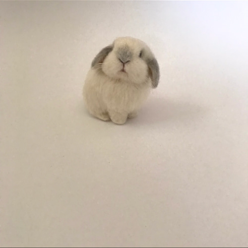 うさぎ 羊毛フェルト ロップイヤー ホーランドロップ ミニうさぎ