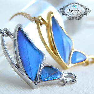 本物の蝶の羽　片羽蝶ネックレス　エガモルフォ　[ps051-aega]