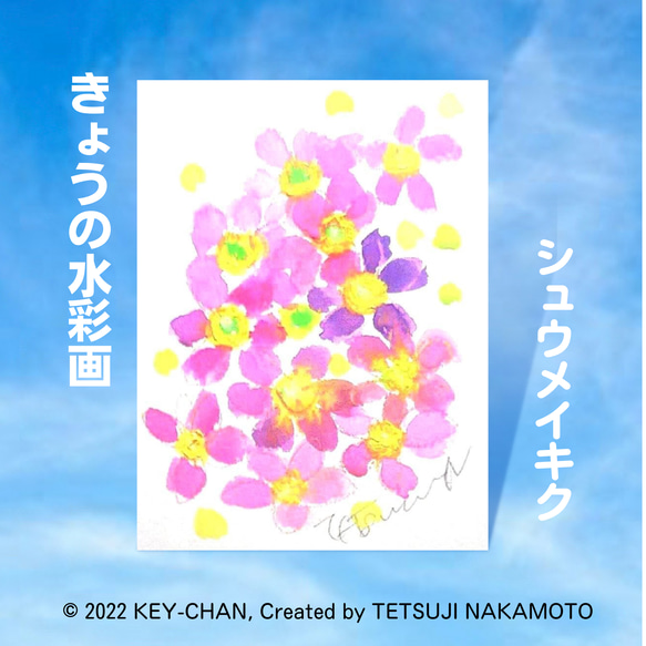 きょうの花「シュウメイキク」色紙作品番号BF1015 絵画 キーちゃん