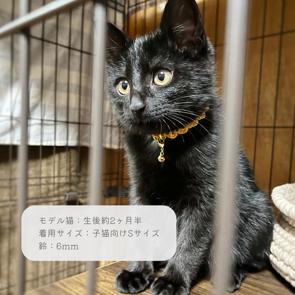 軽くてやわらかい手編みの猫首輪＊パープルのウェーブライン〜子猫・初めての首輪にも〜 5枚目の画像